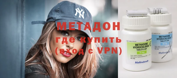 индика Няндома