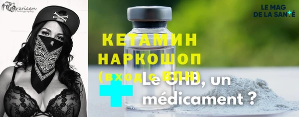 индика Няндома