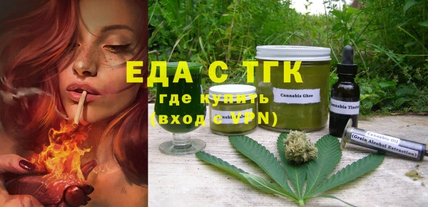 индика Няндома