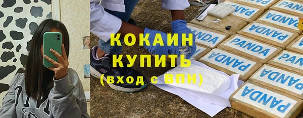 индика Няндома