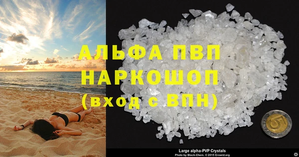 индика Няндома