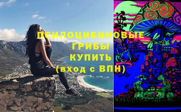 индика Няндома