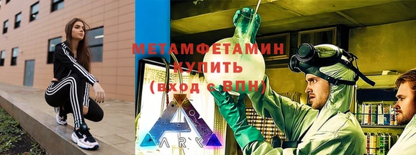 индика Няндома