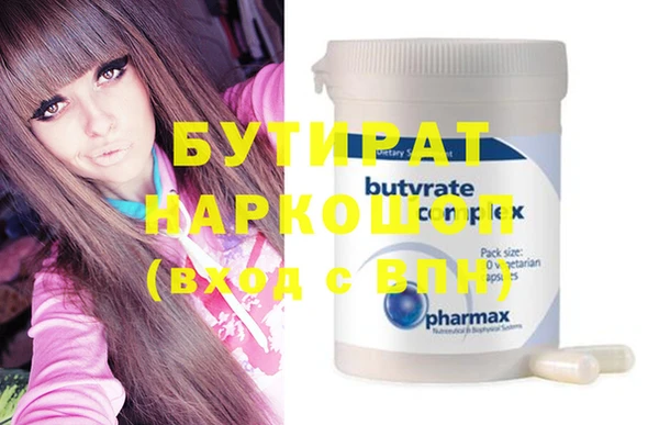 индика Няндома