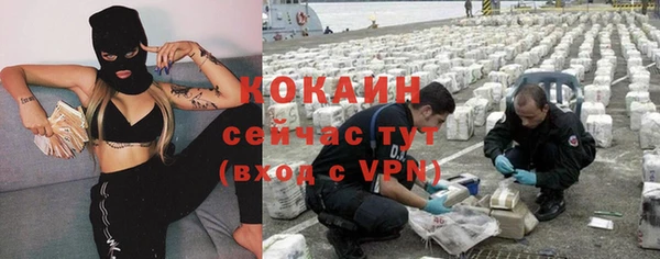 индика Няндома