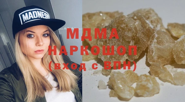 индика Няндома
