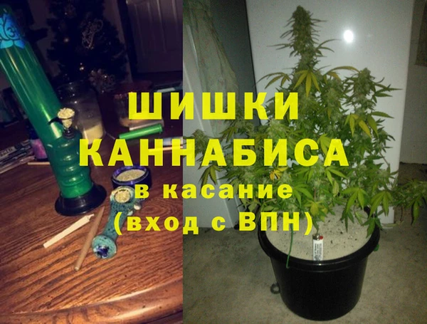 ECSTASY Дедовск