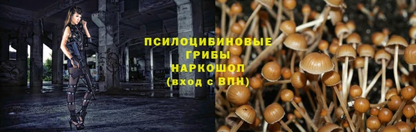 индика Няндома