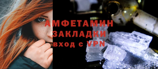 индика Няндома