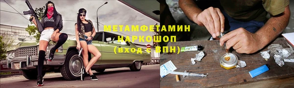 индика Няндома