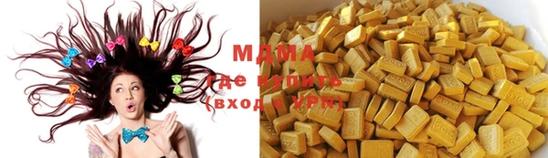 индика Няндома